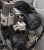 Excitech 736 Servo