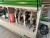 WoodTec Compact H355F