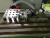 WoodTec VECTOR NEW